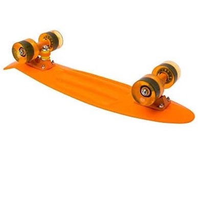 Penny Board Skateboard 22